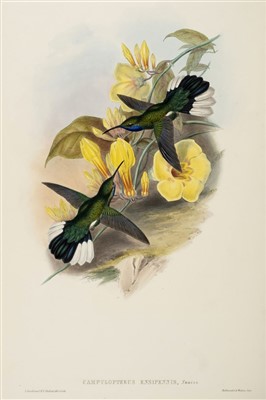 Lot 210 - Gould (John). A Monograph of the Trochilidae, 1st edition, original parts, 1849-61
