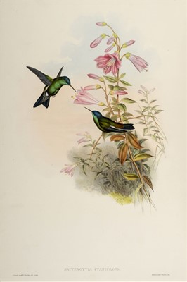 Lot 210 - Gould (John). A Monograph of the Trochilidae, 1st edition, original parts, 1849-61