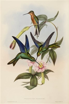 Lot 210 - Gould (John). A Monograph of the Trochilidae, 1st edition, original parts, 1849-61