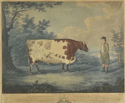 Lot 347 - Whessell (John, circa 1760-circa 1840). The Durham Ox, 1802