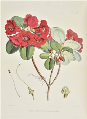 Lot 34 - Hooker (Joseph Dalton). The Rhododendrons of Sikkim-Himalaya, 1st edition, 1849