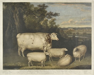 Lot 190 - Ward (William). The Blyth Comet Ox, 1818