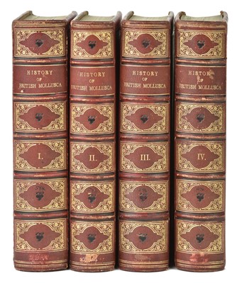 Lot 100 - Forbes (Edward & Hanley, Sylvanus). A History of British Mollusca, and their Shells, 4 volumes, 1853