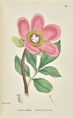 Lot 111 - Sowerby (James, J.E. Sowerby & Others). English Botany, 12 volumes, 3rd edition, 1902