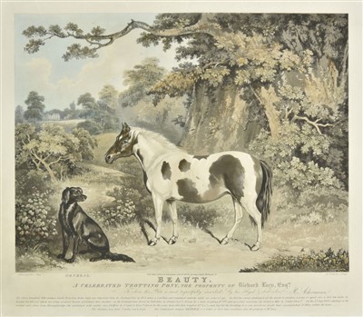 Lot 162 - Duncan (Edward). Beauty. A Celebrated Trotting Pony, 1834
