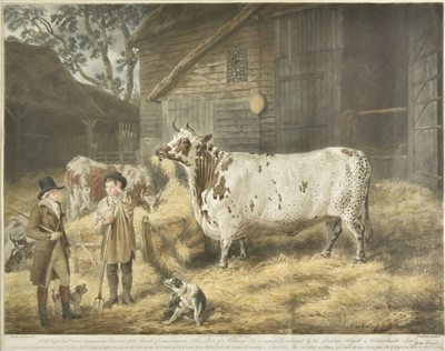 Lot 194 - Ward (William). The Holderness Cow, 1798