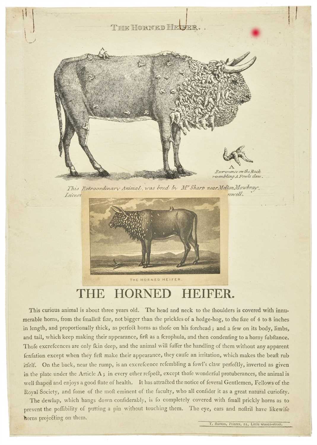 Lot 161 - Deformed Animals. Four engravings of