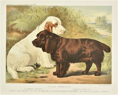 Lot 215 - Dogs & Cats. A mixed collection of approximately 175 prints, mostly 19th century