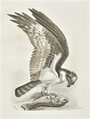 Lot 267 - Stonham (Charles). The Birds of the British Islands, 1st edition, 1906-11, rare hand-coloured copy