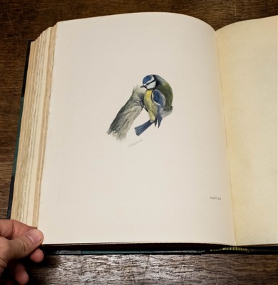 Lot 267 - Stonham (Charles). The Birds of the British Islands, 1st edition, 1906-11, rare hand-coloured copy