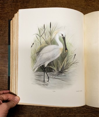 Lot 267 - Stonham (Charles). The Birds of the British Islands, 1st edition, 1906-11, rare hand-coloured copy