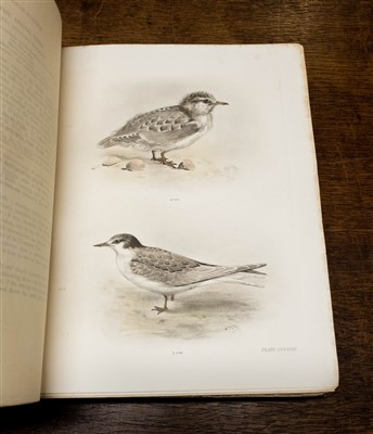 Lot 267 - Stonham (Charles). The Birds of the British Islands, 1st edition, 1906-11, rare hand-coloured copy
