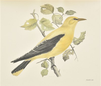 Lot 267 - Stonham (Charles). The Birds of the British Islands, 1st edition, 1906-11, rare hand-coloured copy