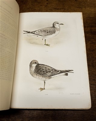 Lot 267 - Stonham (Charles). The Birds of the British Islands, 1st edition, 1906-11, rare hand-coloured copy