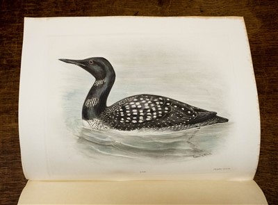 Lot 267 - Stonham (Charles). The Birds of the British Islands, 1st edition, 1906-11, rare hand-coloured copy