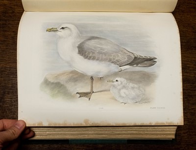 Lot 267 - Stonham (Charles). The Birds of the British Islands, 1st edition, 1906-11, rare hand-coloured copy