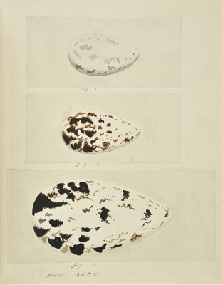 Lot 259 - Oology.  'The Nests and Eggs of British Birds. By S. U. Duer', 1878