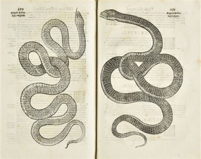 Lot 200 - Aldrovandi (Ulisse). Serpentum et Draconum Historiae libri duo, 1st edition, Bologna, 1640