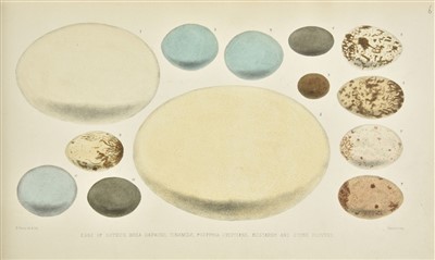 Lot 260 - Oology. 'Exotic Birds Eggs' [spine-title], 1919