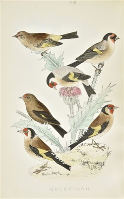 Lot 256 - Mosley (S. L.). A History of British Birds, their Nests, and Eggs, 1st edition, 1881-92