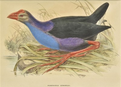 Lot 244 - Hume (Allan). Stray Feathers, 12 volumes, 1873-99
