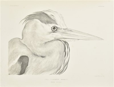 Lot 229 - Blackburn [Jemima]. Birds drawn from Nature, 2nd edition, 1868, & 7 others