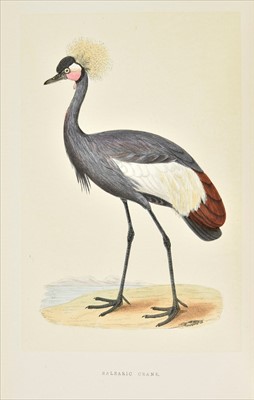 Lot 190 - Bree (Charles Robert). A History of the Birds of Europe, 4 volumes, 1863