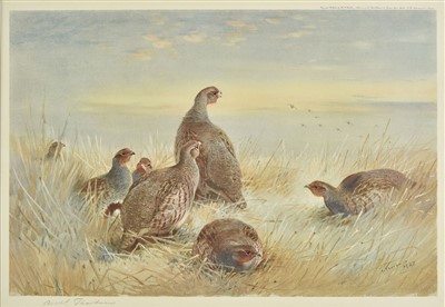 Lot 342 - Thorburn (Archibald). Partridges on a Frosty Morning & Partridges in Snow, 1928 & 1907