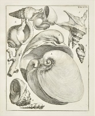 Lot 189 - Scilla (Agostino). De corporibus marinis lapidescentibus quae defossa reperiuntur..., Rome, 1747