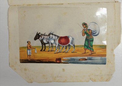 Lot 16 - Company School. Set of 16 Indian mica paintings, possibly Madras or environs, c.1850-80