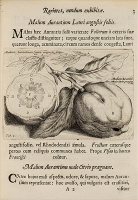 Lot 72 - Boccone (Paolo). Icones rariorum plantarum Sicilae, Melitae, Galliae, et Italia, 1674, Lilford copy