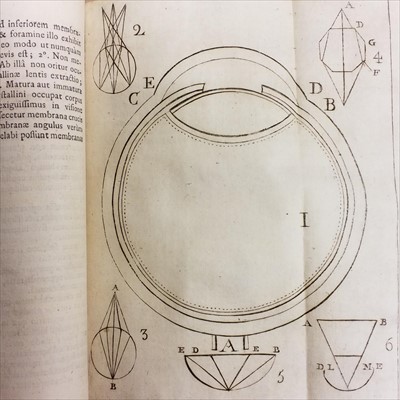 Lot 443 - Antiquarian. A large collection of 18th-19th century medical & science reference