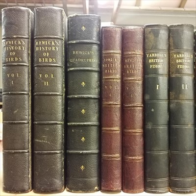 Lot 76 - Natural History. 31 volumes of mostly 19th century natural history reference