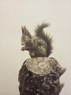 Lot 227 - Art Reference. A large collection of modern photography, art & publishing reference