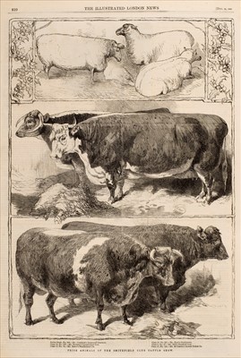 Lot 46 - Illustrated London News. A collection of approximately 2500 sheets, 19th century