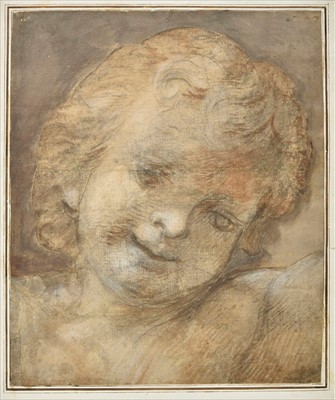 Lot 273 - Roman School. Head of Putto, circa 1600-1650