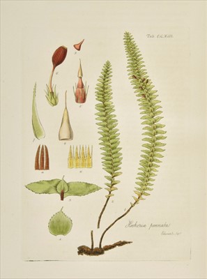 Lot 303 - Hooker (William Jackson). Musci Exotici, 2 volumes, 1st edition, 1818-20