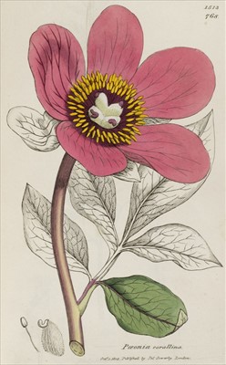 Lot 64 - Sowerby (James). English Botany, [1832]-1840, & others