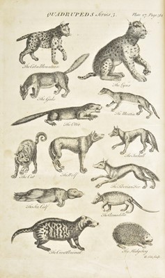 Lot 240 - Hill (John). An History of Animals, 1st edition, 1752