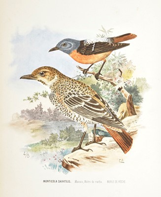 Lot 227 - Carlos I (King of Portugal). Catalogo illustrado das aves de Portugal, 1st edition, 1903-7, signed