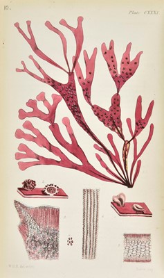 Lot 239 - Harvey (William Henry). Phycologia Britannica, 1st edition, 1846-51