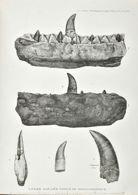 Lot 226 - Buckland (William). [Sammelband of geological and palaeontological tracts], 1820-24