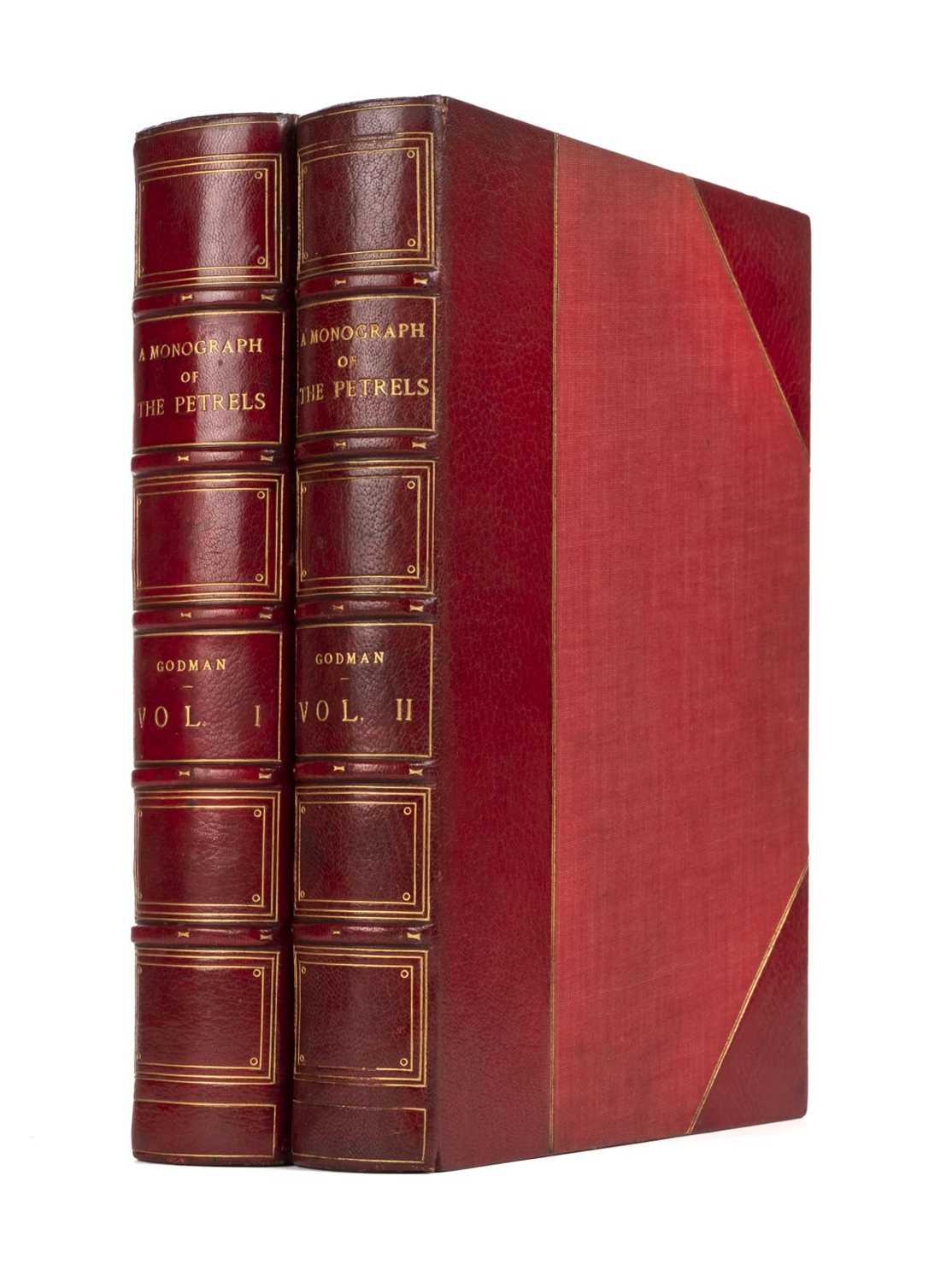 Lot 234 - Godman (Frederick Du Cane). A Monograph of the Petrels, 2 volumes, 1st edition, 1907-10