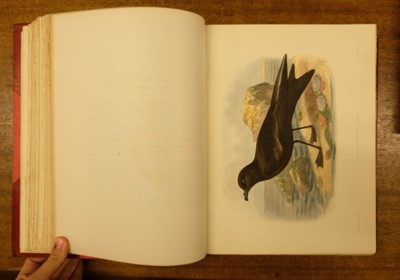 Lot 234 - Godman (Frederick Du Cane). A Monograph of the Petrels, 2 volumes, 1st edition, 1907-10