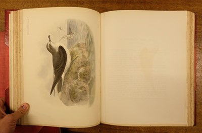 Lot 234 - Godman (Frederick Du Cane). A Monograph of the Petrels, 2 volumes, 1st edition, 1907-10