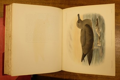 Lot 234 - Godman (Frederick Du Cane). A Monograph of the Petrels, 2 volumes, 1st edition, 1907-10