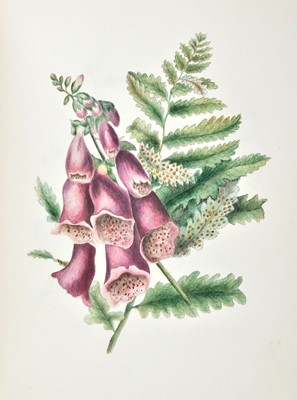 Lot 193 - Botanical watercolours. A pair of albums containing watercolours of botanical studies, circa 1840s