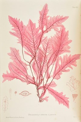 Lot 242 - Johnstone (W. G., & Alexander Croall). The Nature-Printed British Sea-Weeds, 1st edition, 1859-60