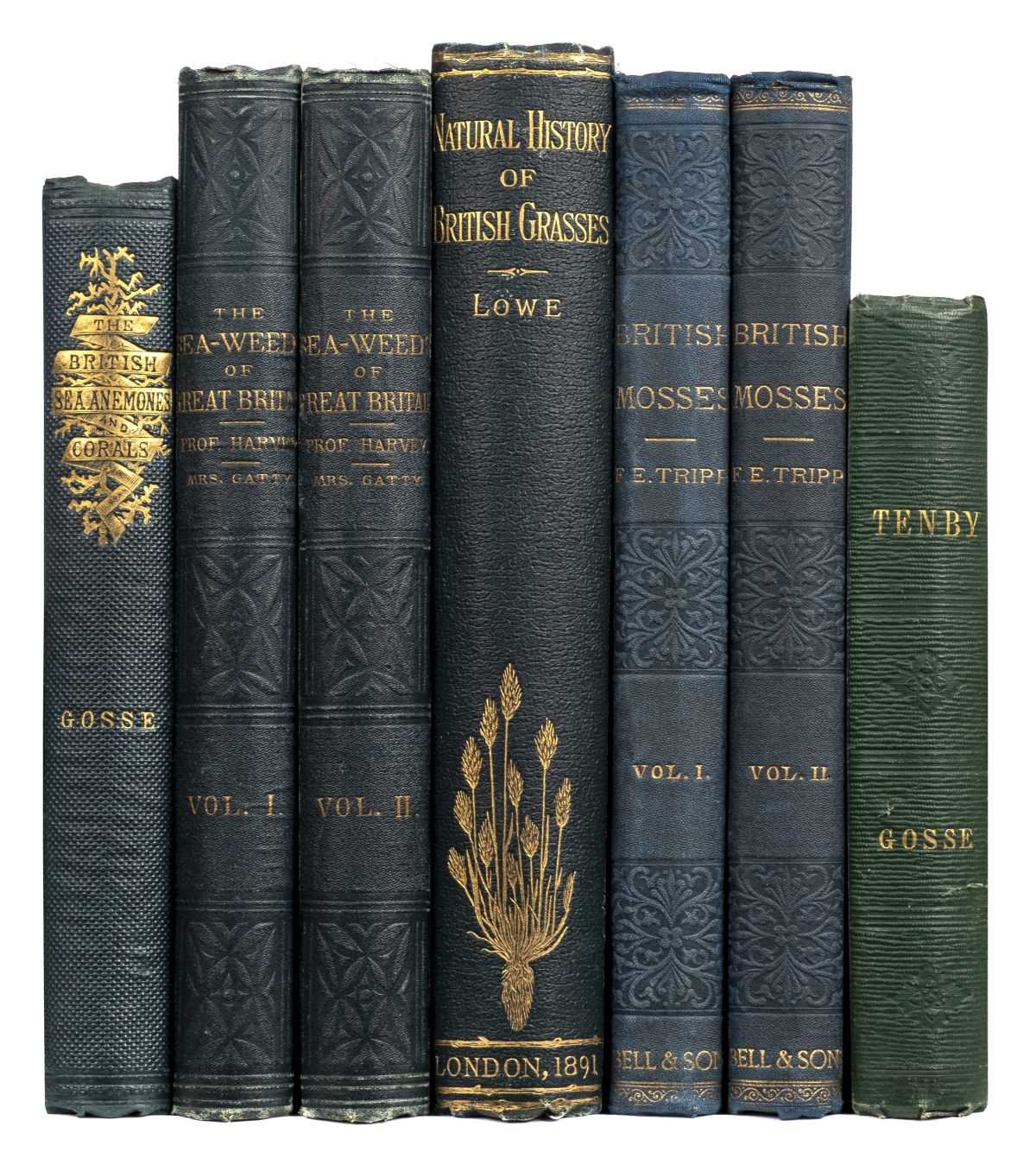 Lot 236 - Gosse (Philip Henry). Actinologia Britannica, 1st edition, 1860, & others