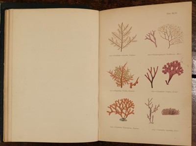 Lot 236 - Gosse (Philip Henry). Actinologia Britannica, 1st edition, 1860, & others